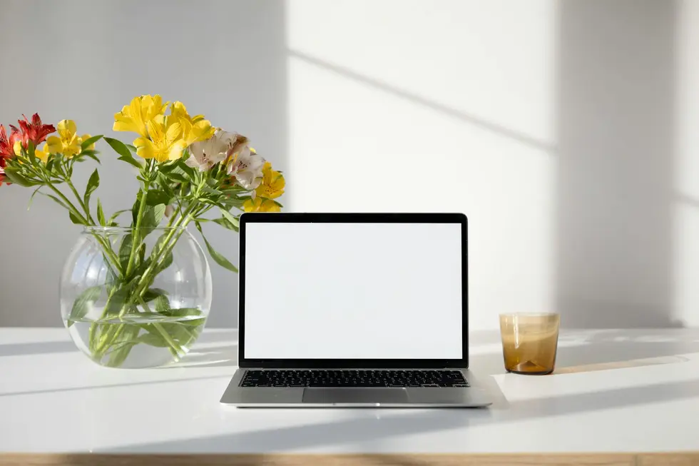 Usuário satisfeito usando notebook com Windows 11 rápido e sem excessos